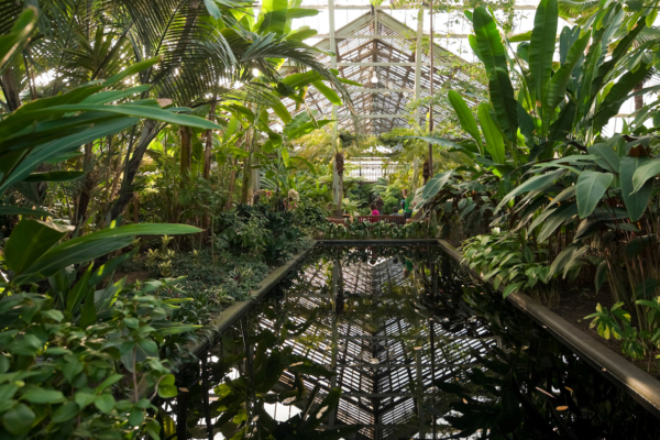 Garfield Park Conservatory