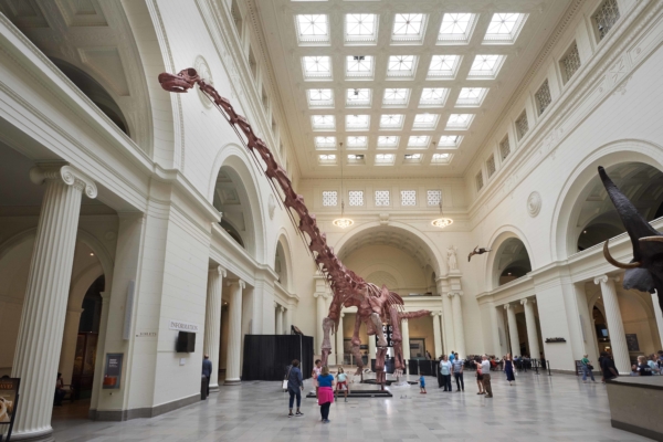 Maximo at Field Museum Chicago