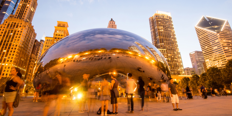 Bean at sunset