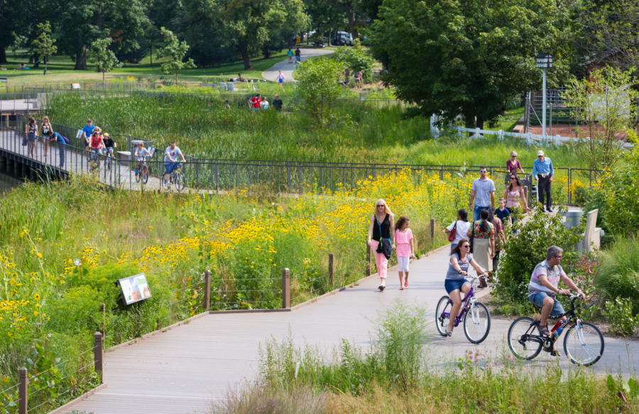 places to visit chicago in summer