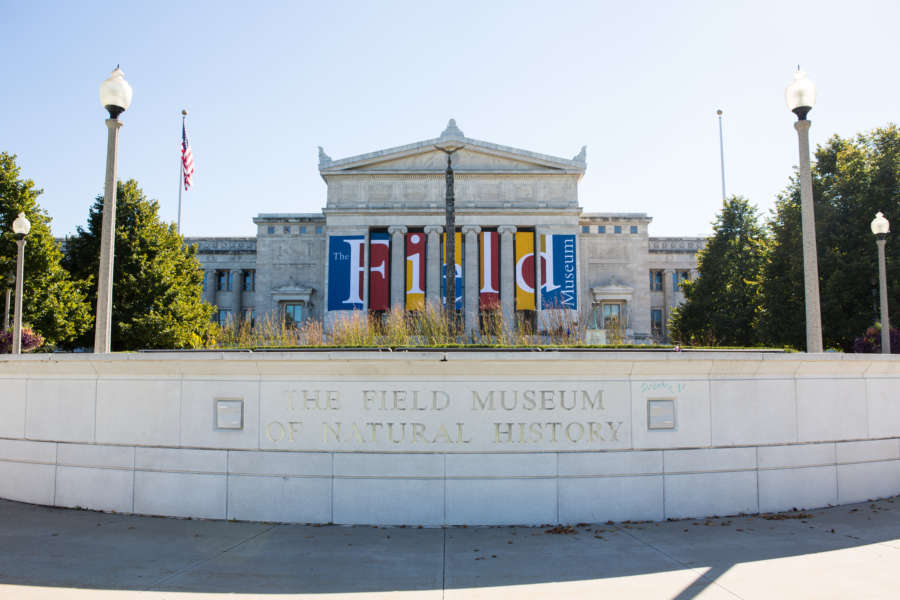 Museum Groups- Field Museum