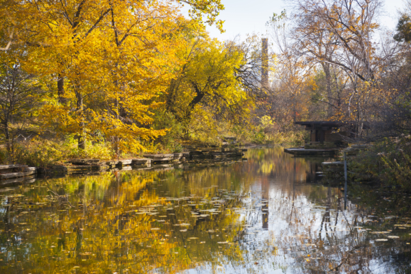 CC Alfred Caldwell Lily Pond_02