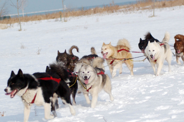 polar-adventure-days