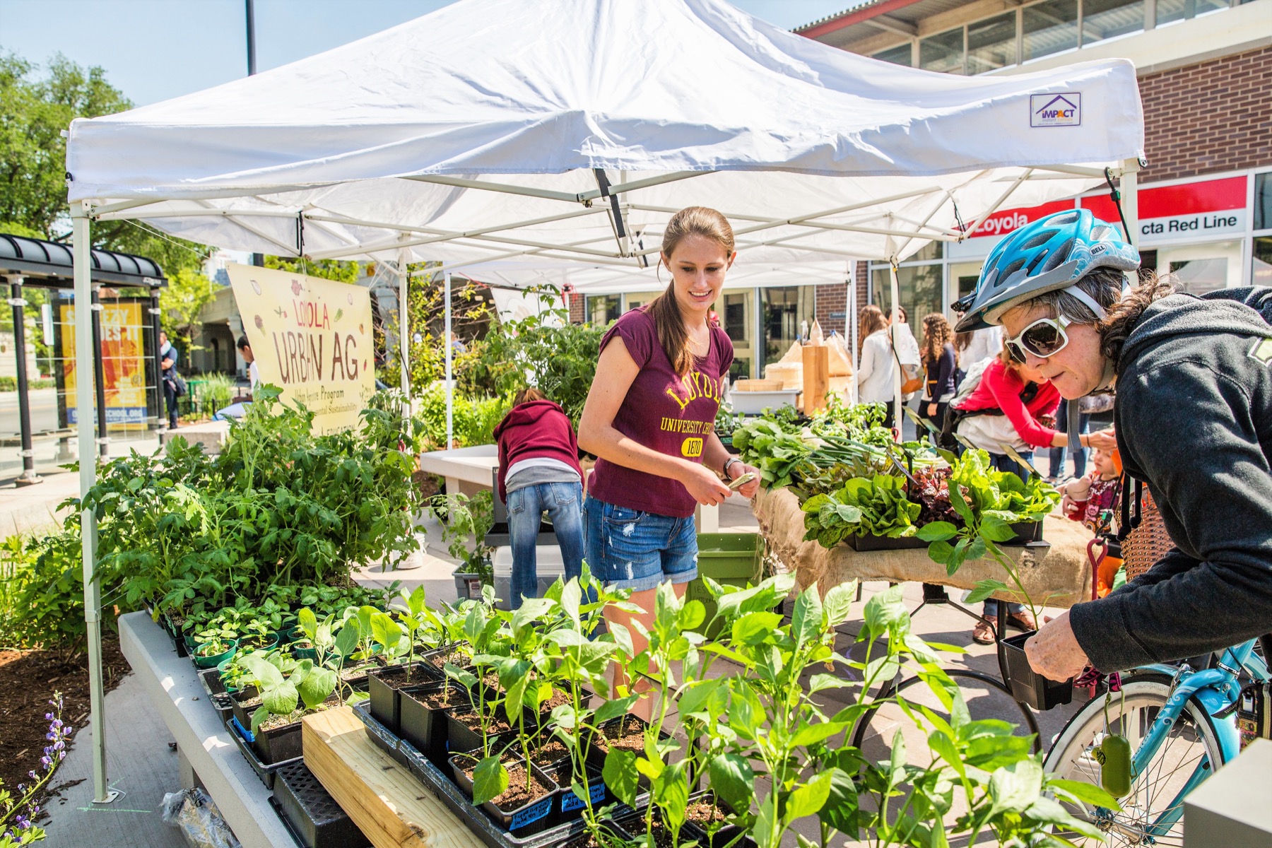 Loyola University Chicago Farmers Market