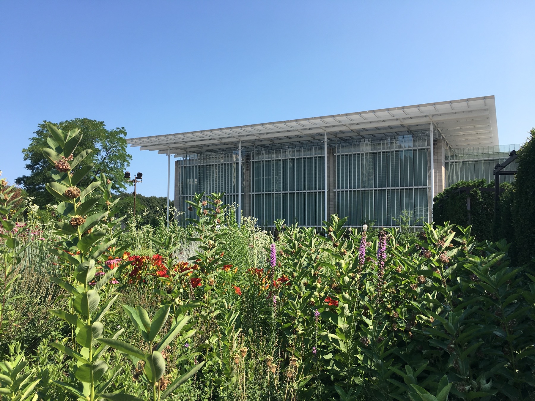 Lurie Garden - Art Institute Modern Wing