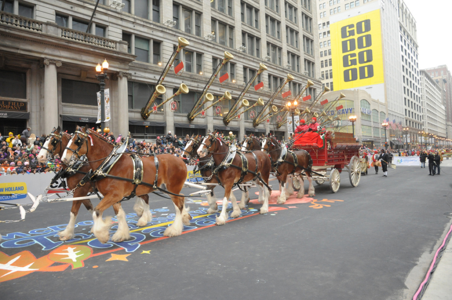 Chicago Thanksgiving Day Parade Choose Chicago