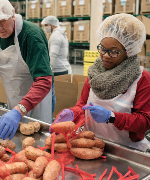 People packaging potatoes at the Greater Chicago Food Depository
