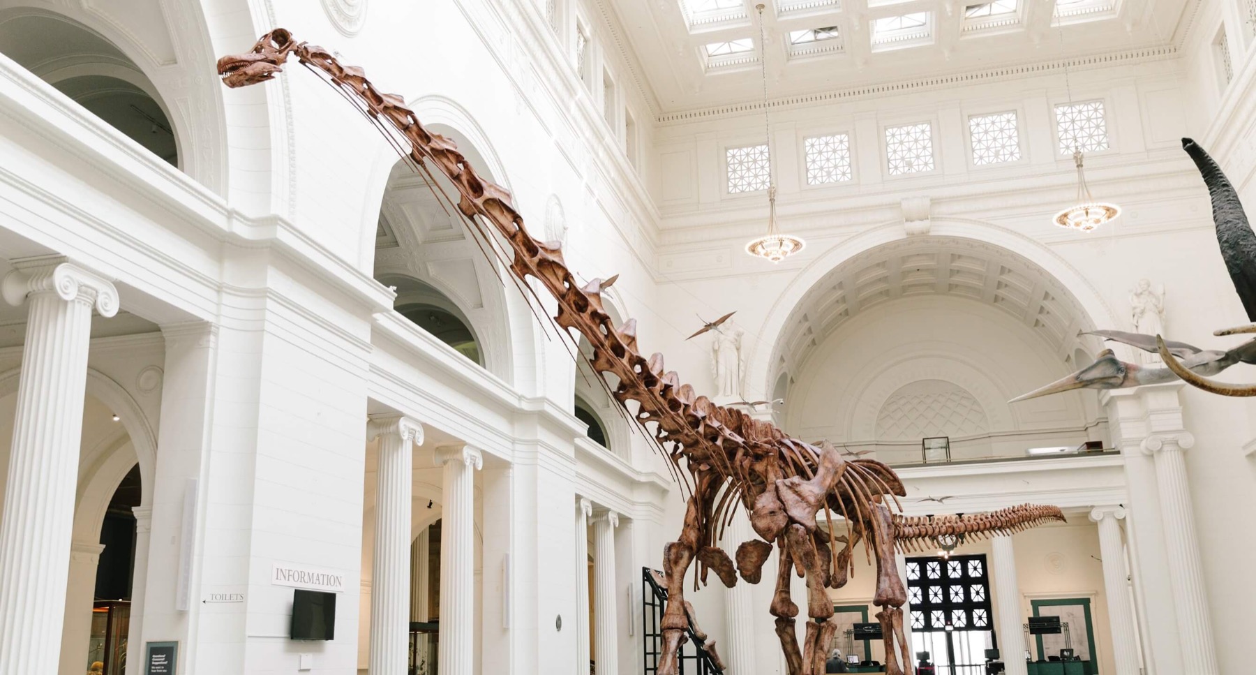 attractions-museums