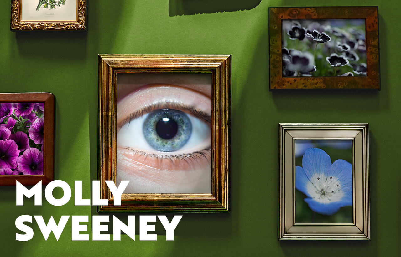 Molly Sweeney Chicago promo