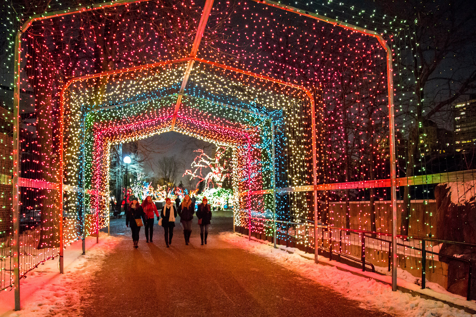 time out chicago christmas 2018