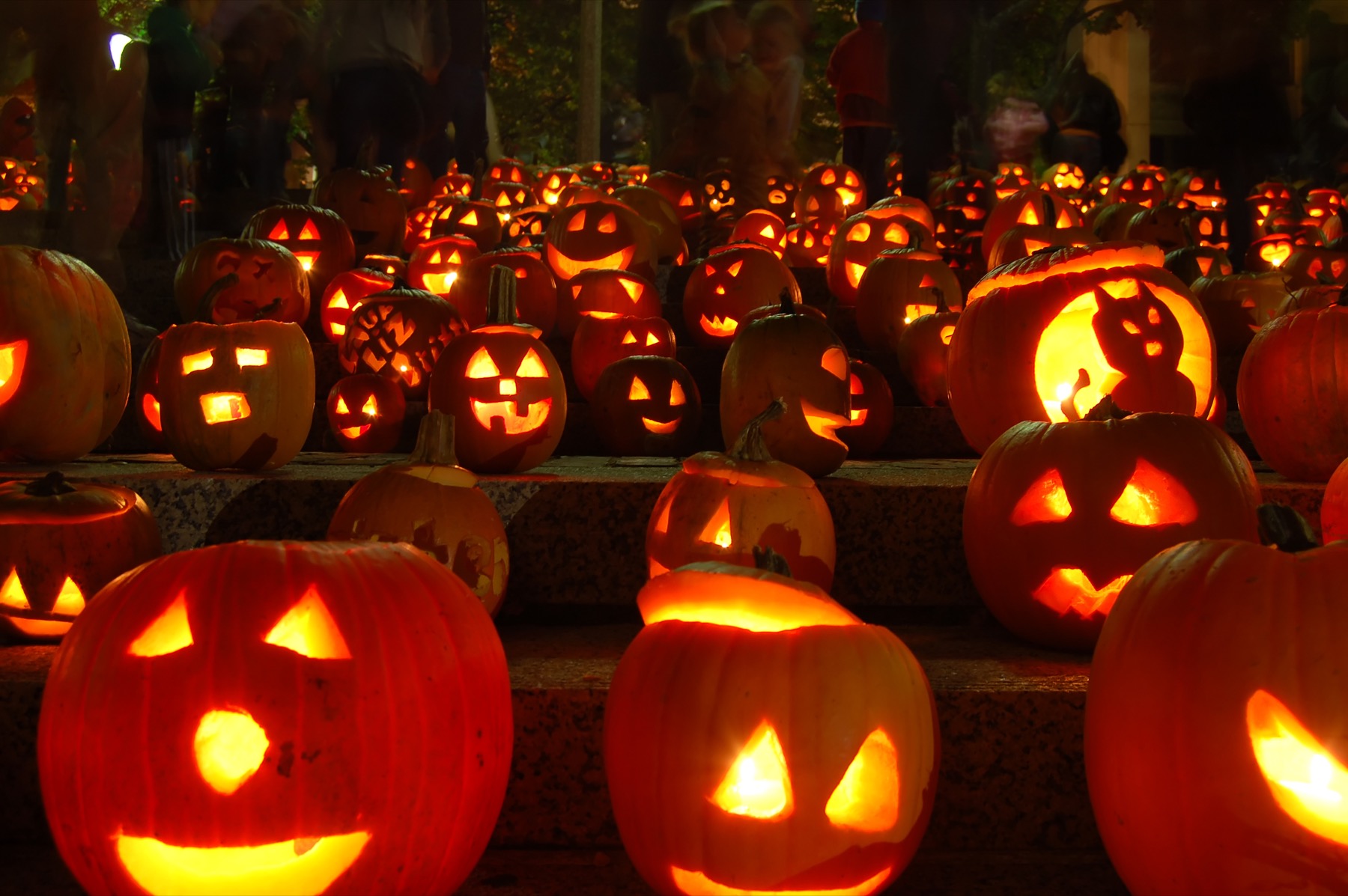 Pier Pumpkin Nights
