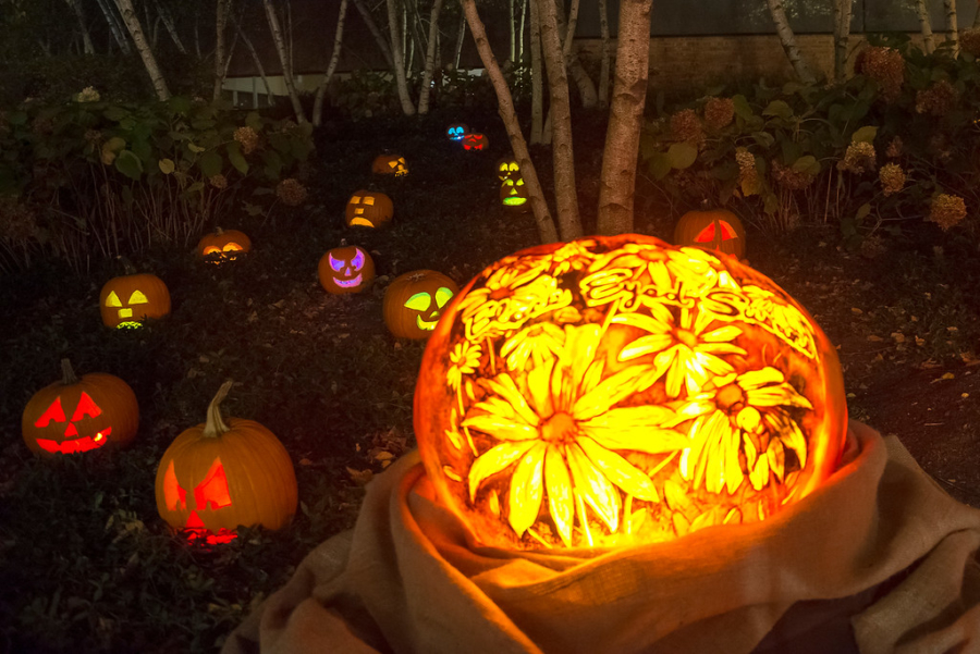 Night of 1,000 Pumpkins at Chicago Botanic Garden