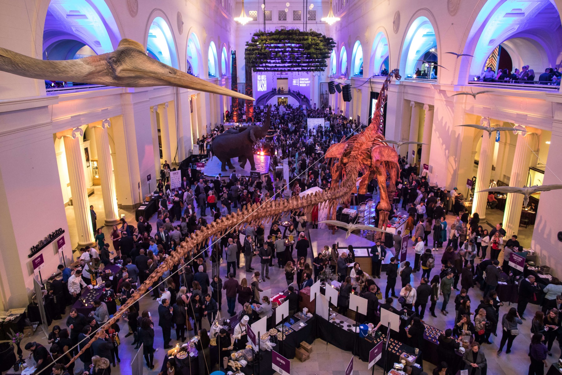 First Bites Bash – Field Museum
