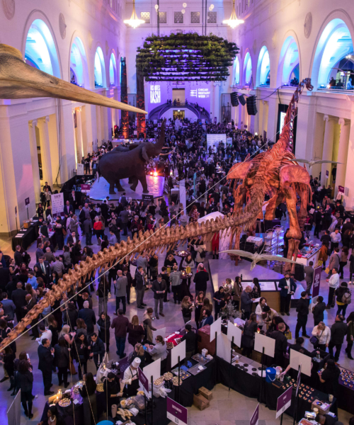 First Bites Bash - Field Museum