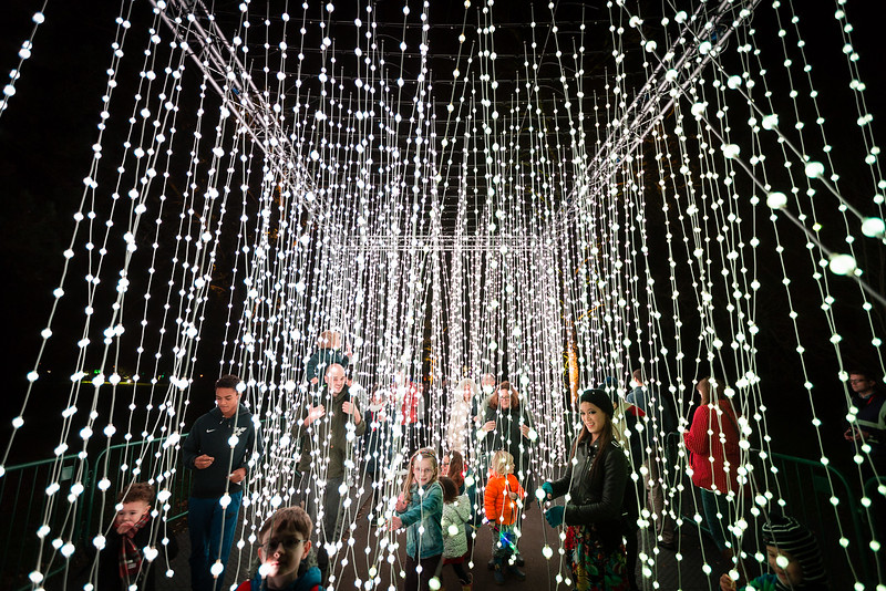 Paisaje luminoso en el Jardín Botánico de Chicago