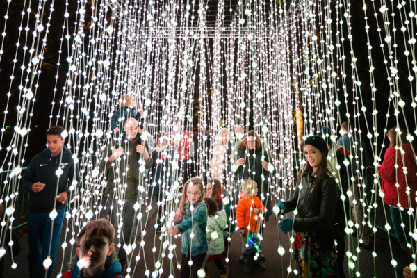 lightscape
