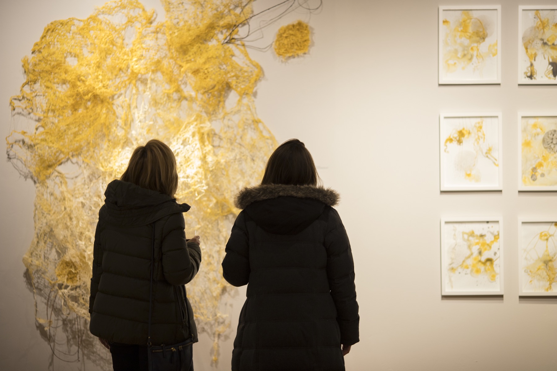 10 free off-the-beaten-path things to do in Chicago