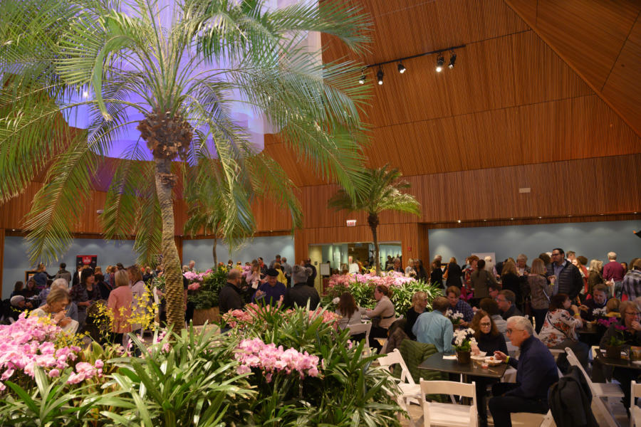 Chicago Botanic Garden - Evening with the Orchids 2019