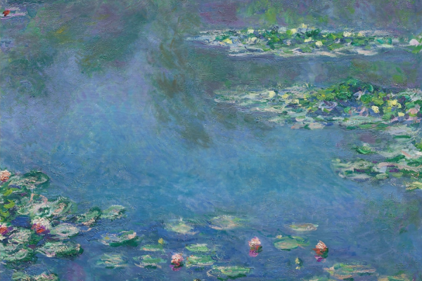 Monet's water lilies at the Art Institute of Chicago