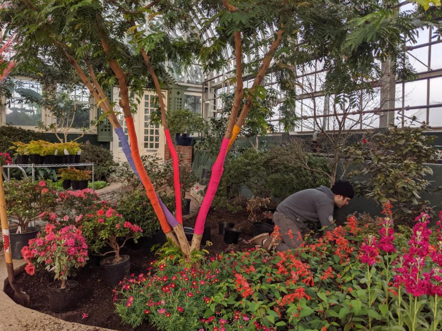 Garfield Park Conservatory- Spring Flower Show