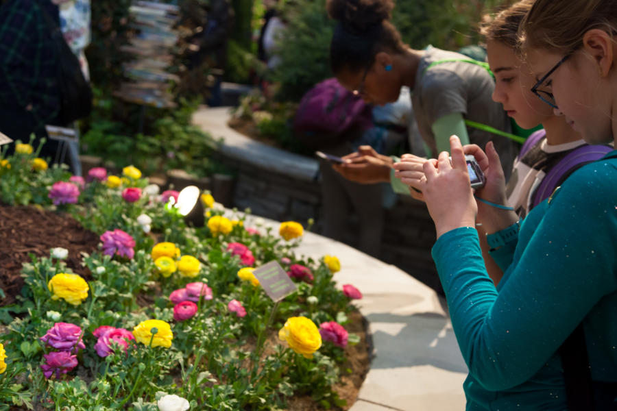 Celebrate Spring At Chicago S Best Flower And Garden Shows