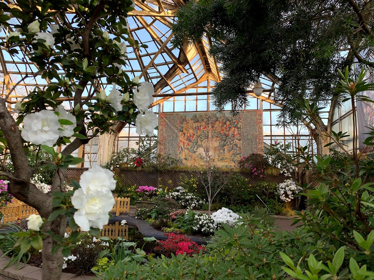 Celebrate spring at Chicago's best flower and garden shows Choose Chicago
