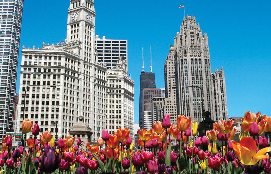 Magnificent Mile In Downtown Chicago