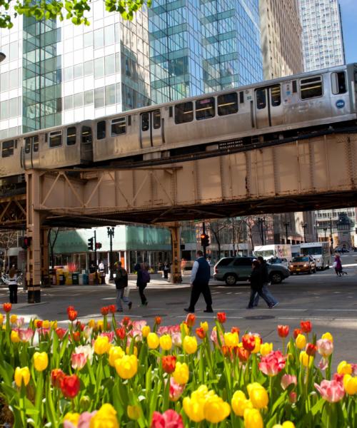 Getting around Chicago
