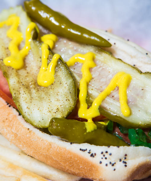 A.Alexander_DowntownDogs_02