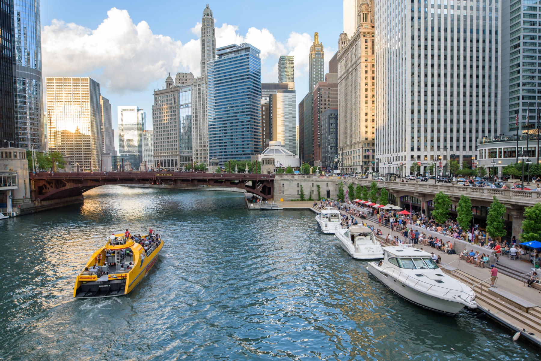 best river tours in chicago