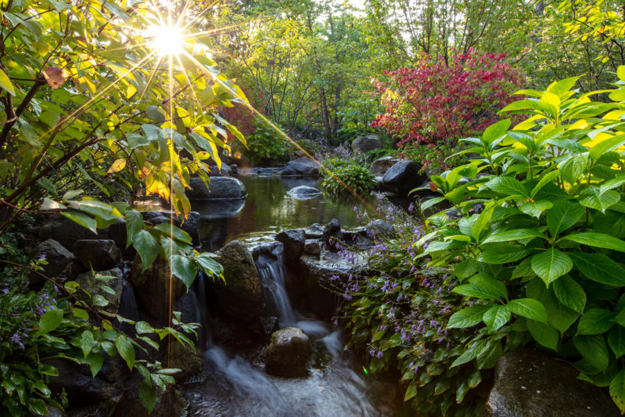 Anderson Japanese Gardens