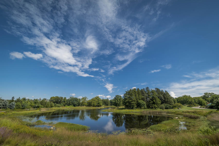 Morton Arboretum