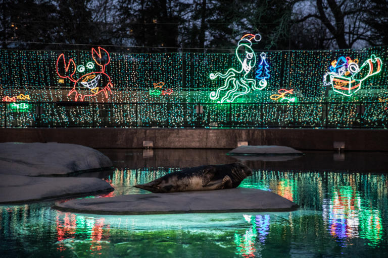 ZooLights will be back this winter — and tickets go on sale soon