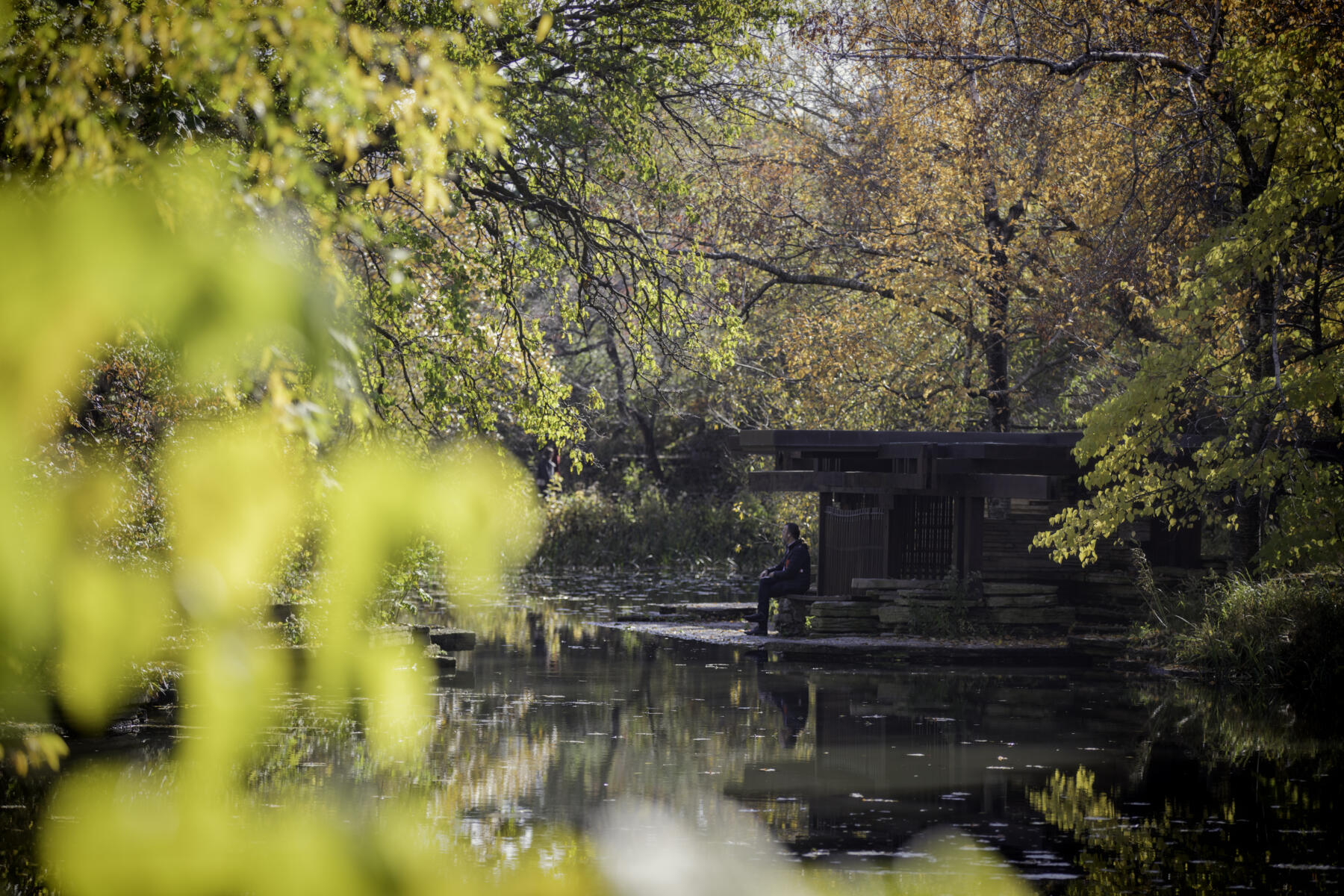 Lincoln Park in fall