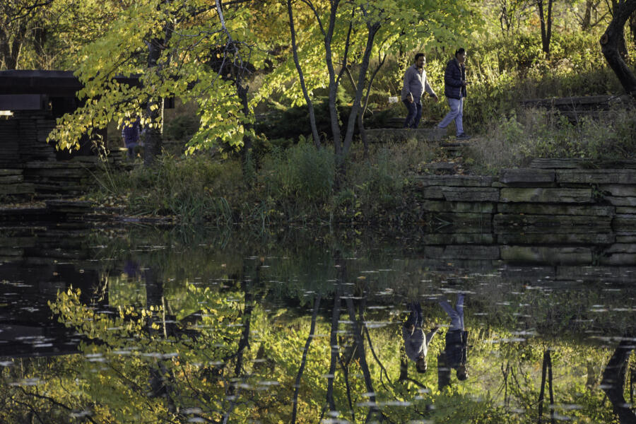 Lincoln Park in fall