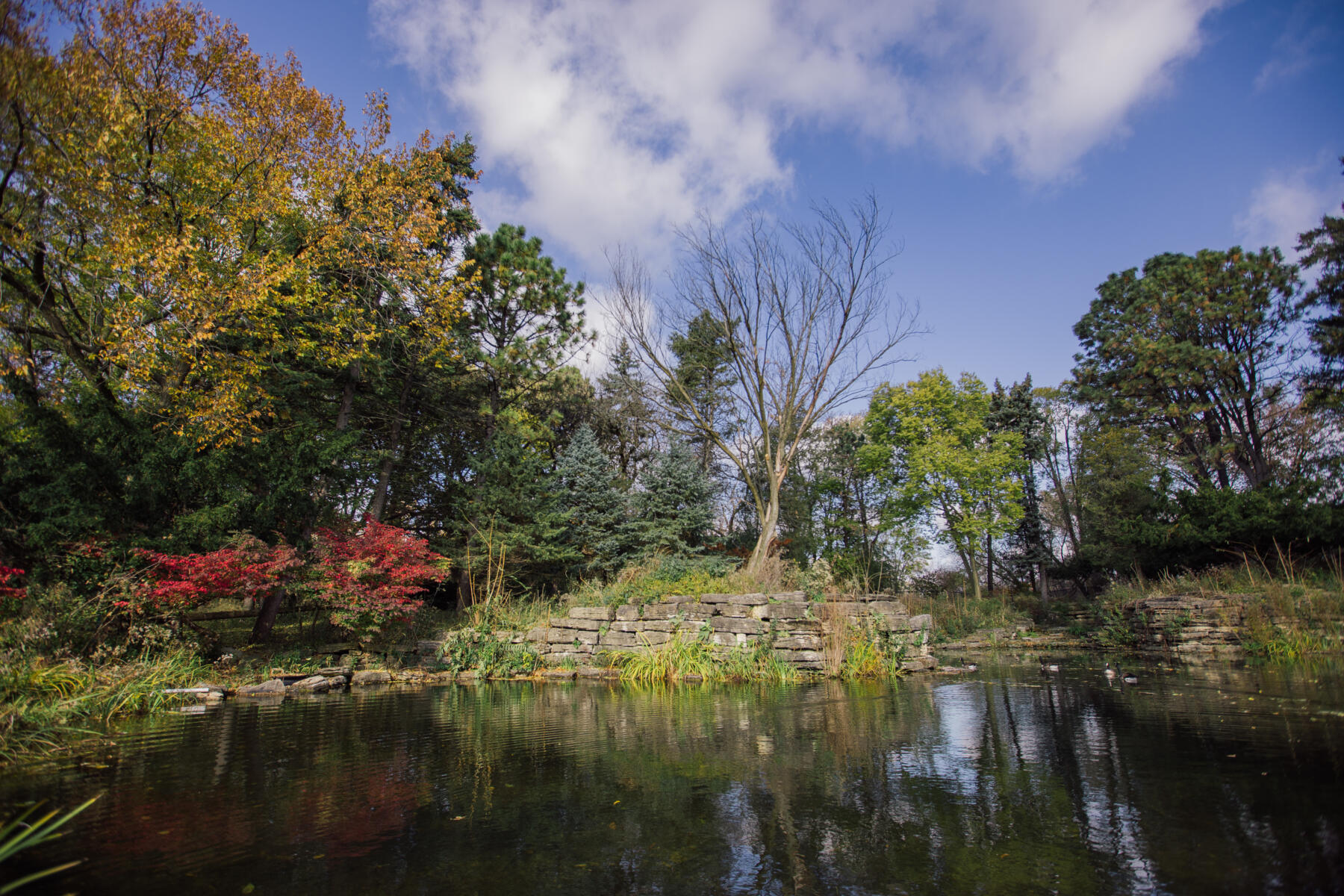 North Park Nature Center in fall