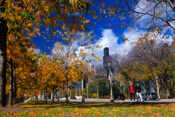 Fall in Chicago