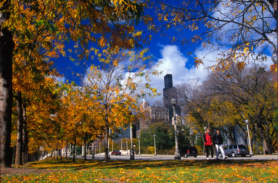 Fall in Chicago