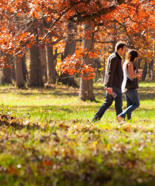 Morton Arboretum in fall
