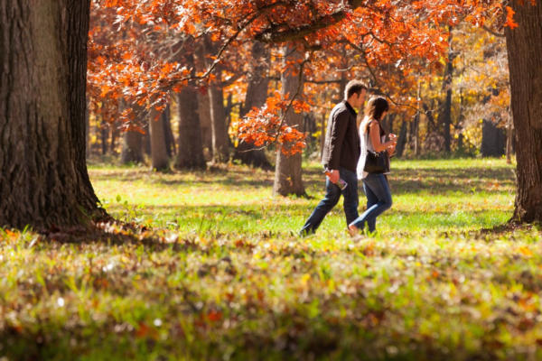 Morton Arboretum in fall