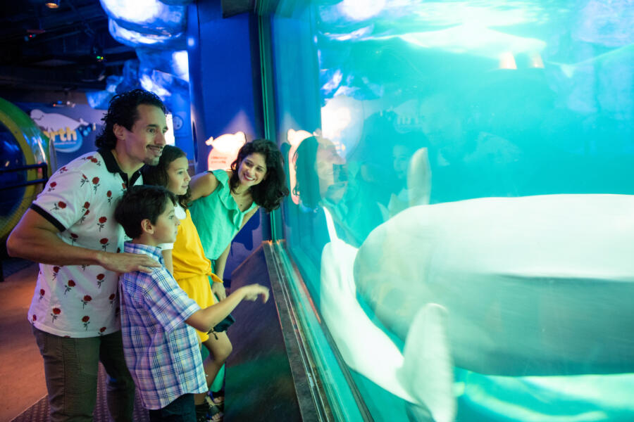 A family at the Shedd Aquarium