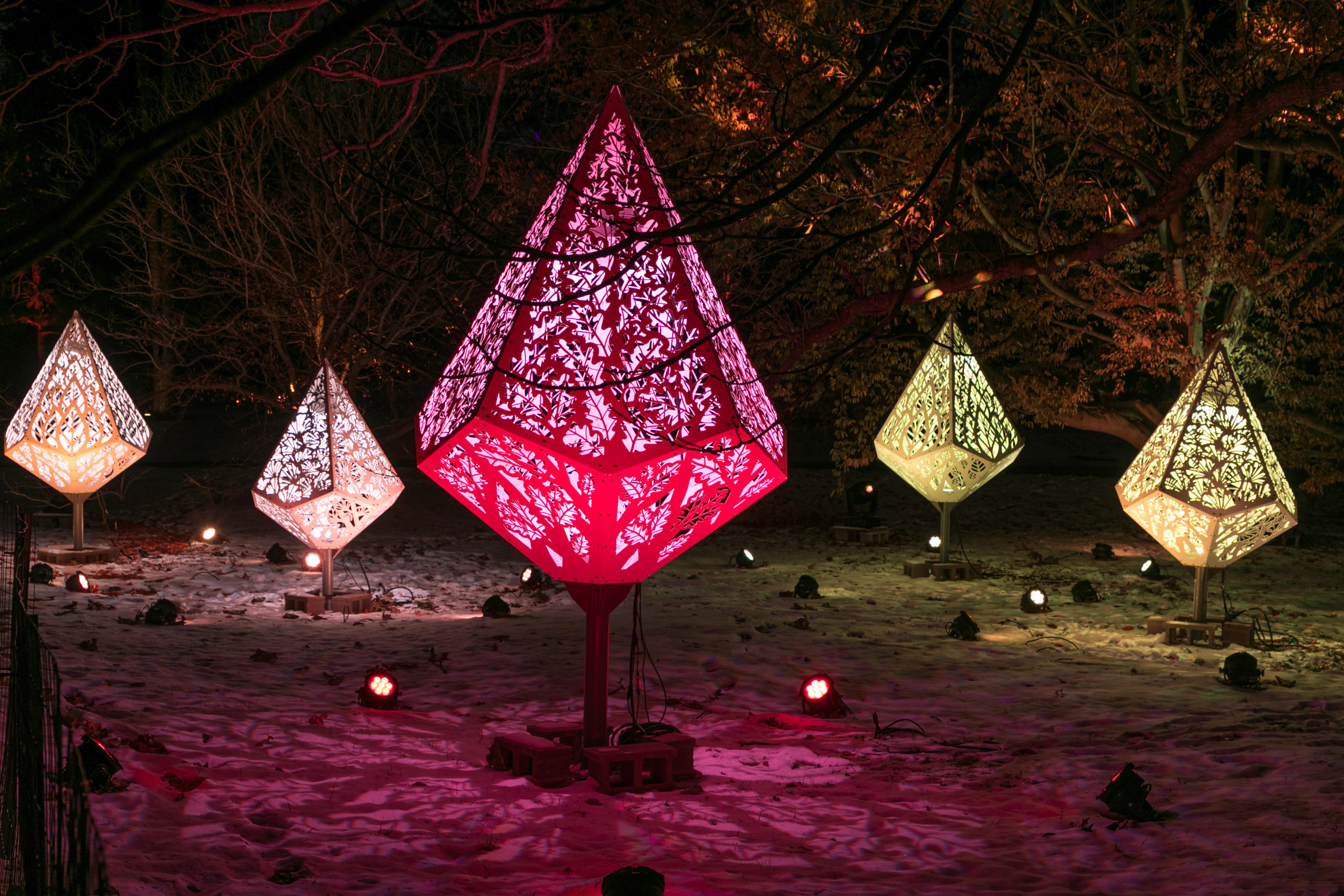 Morton Arboretum Illumination: Tree Lights Driving Experience