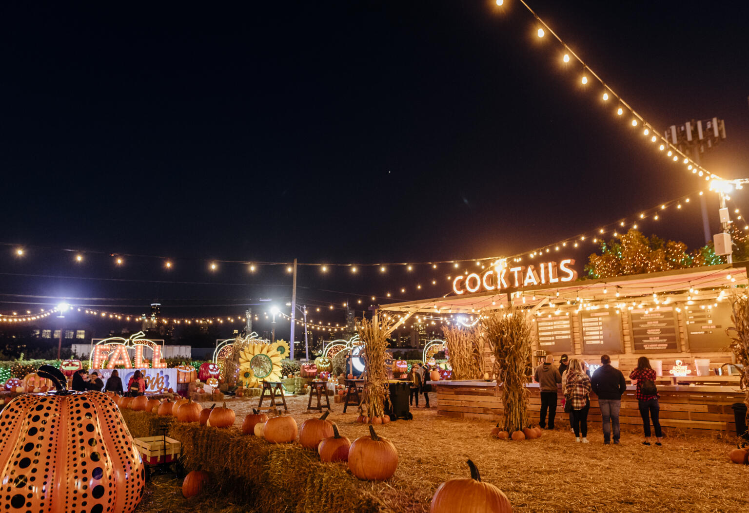 Chicago in the Fall Top Things to Do and Fall Activities Choose Chicago