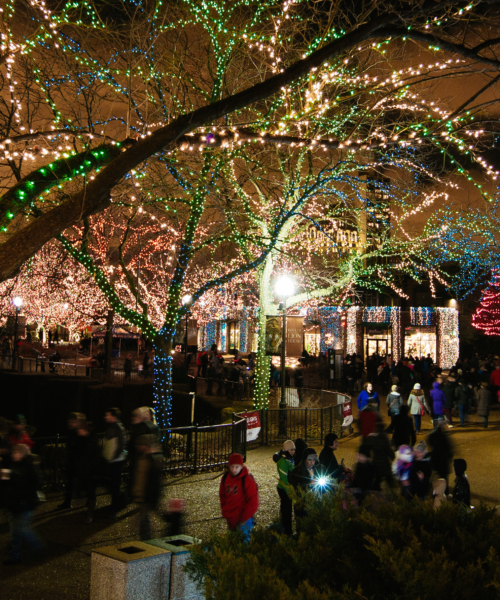 Thanksgiving weekend in Chicago: Top things to do