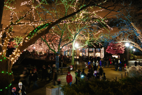 10 free and cheap things to do in Chicago this December