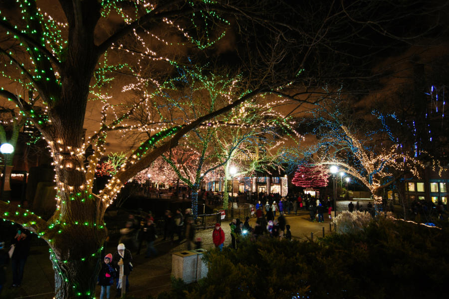 holiday lights boat tour