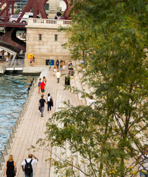 Chicago Visitors Guide