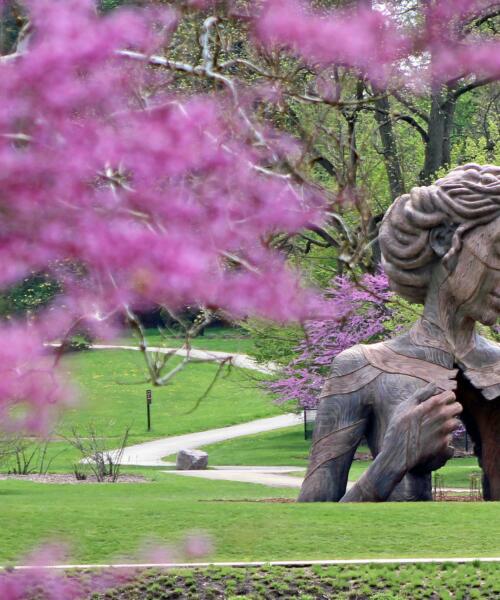 Human + Nature at Morton Arboretum