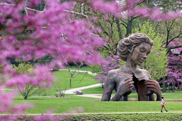 Human + Nature at Morton Arboretum