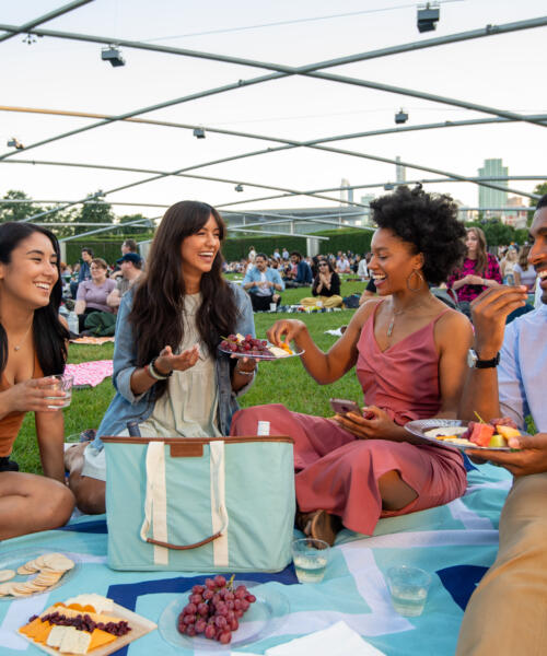 A group of friends at Millennium Park
